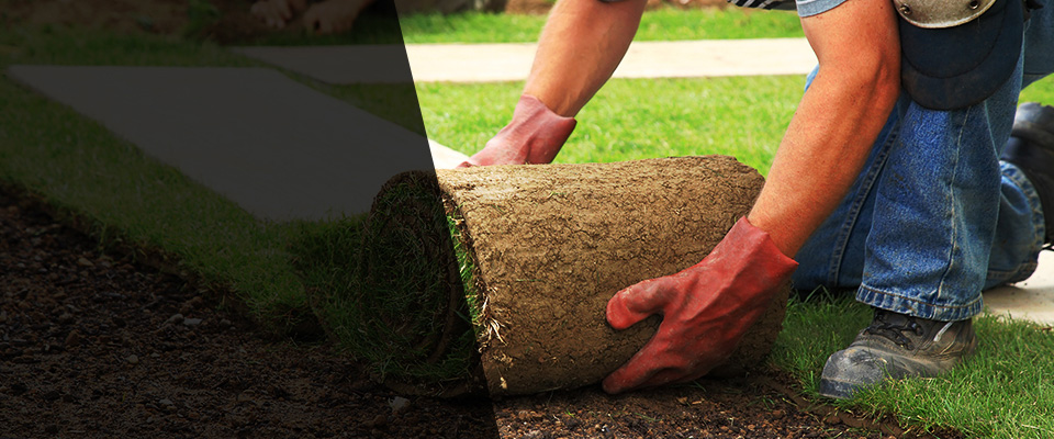 Noble Landscapers